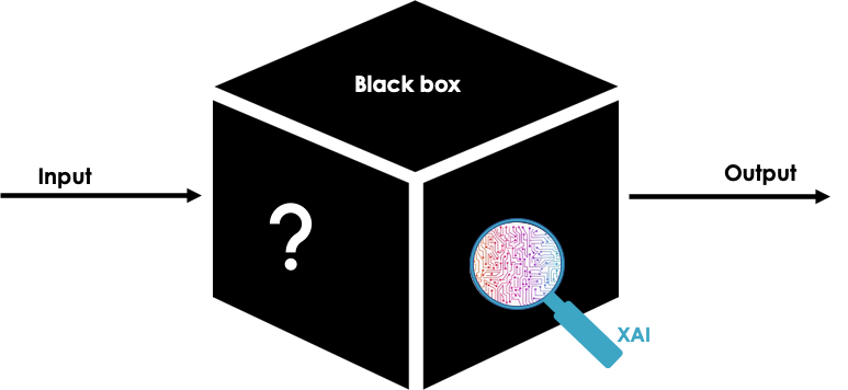 To “Black Box” or not to “Black Box”? - Cois Coiribe